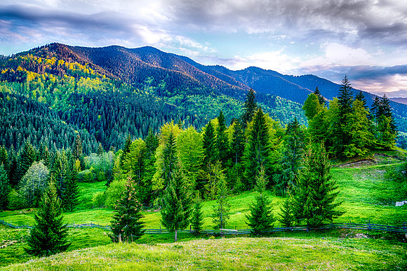 Vatra Dornei view