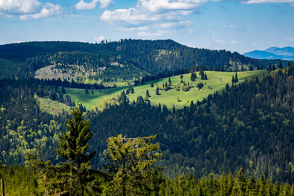 _DSC9660