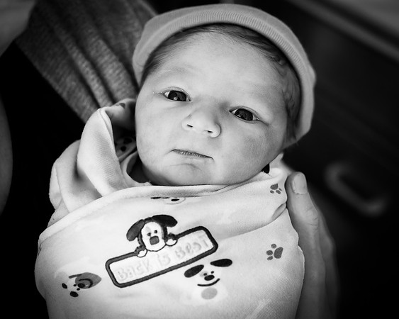 L1080347-DNG_DxO_DeepPRIMEXD