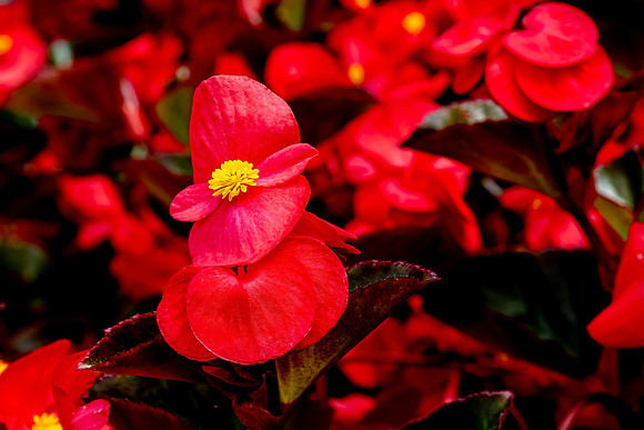 L1000086-Edit